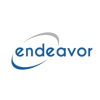 Endeavor Consulting Group